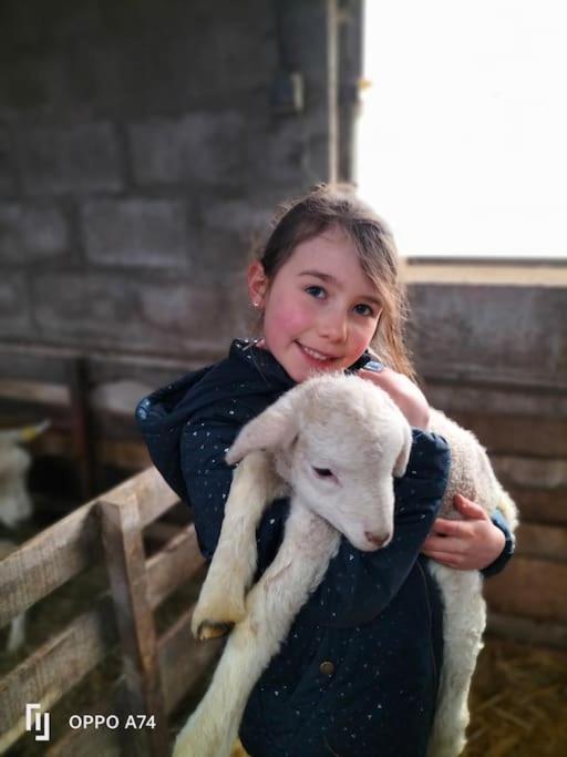 Gite La Dame Au Lit Gite A La Ferme Momignies Luaran gambar