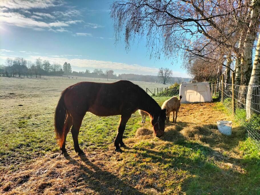 Gite La Dame Au Lit Gite A La Ferme Momignies Luaran gambar
