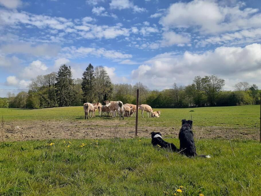 Gite La Dame Au Lit Gite A La Ferme Momignies Luaran gambar
